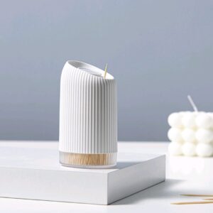Toothpick holder with toothpicks