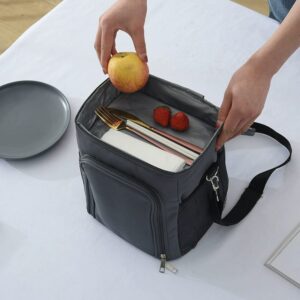 Classic Thermal Insulated Lunch Bag*