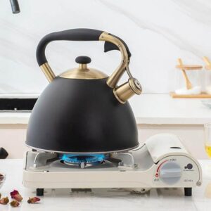 3 Litres Quality Stainless Steel Whistling Kettle
