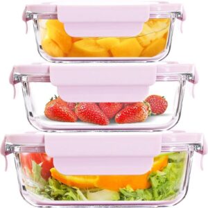 Glass snack/lunch box
